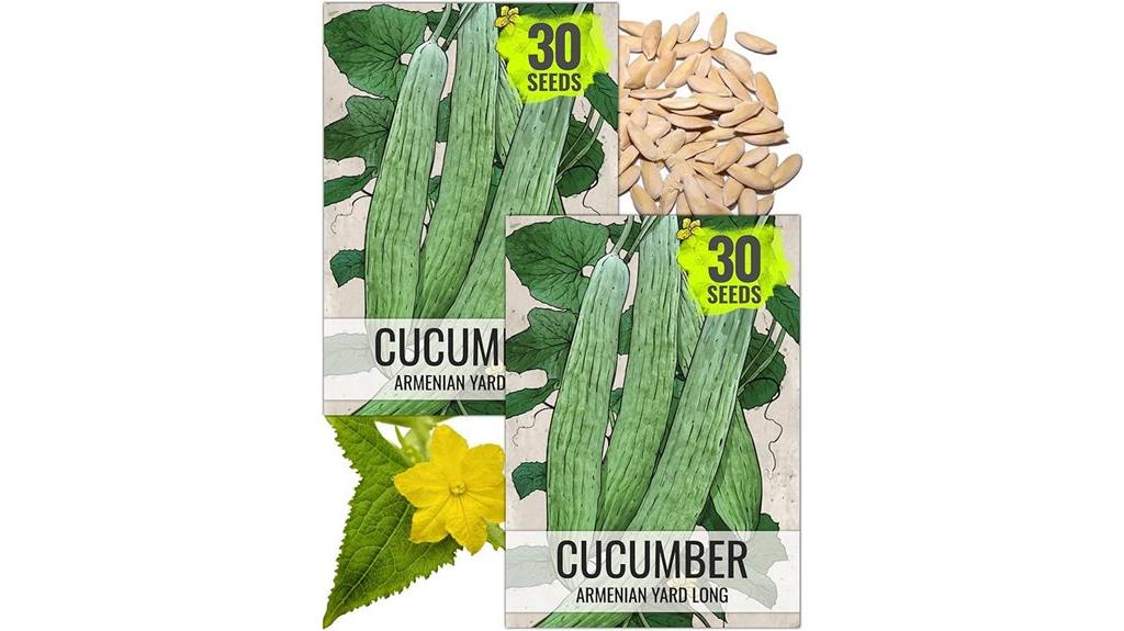 armenian yard long cucumbers