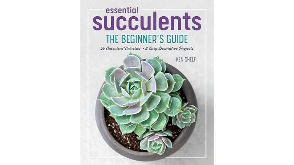beginner s guide to succulents