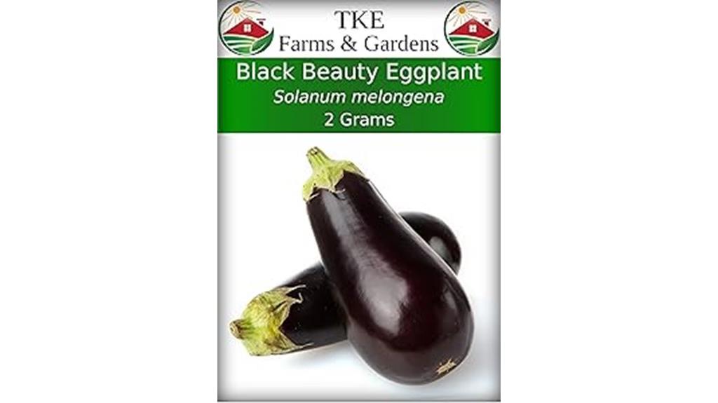 black beauty eggplant seeds