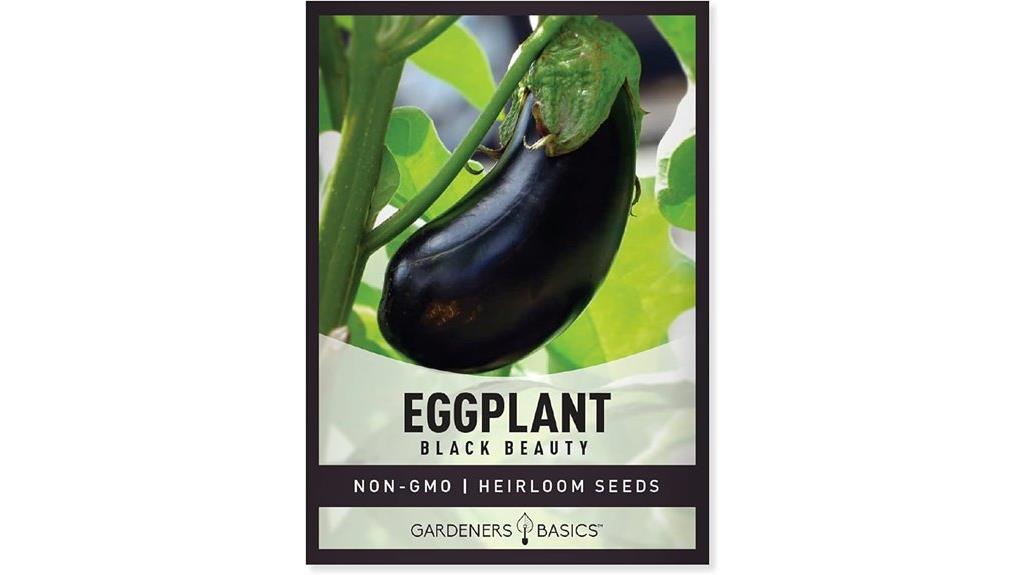 black beauty eggplant seeds
