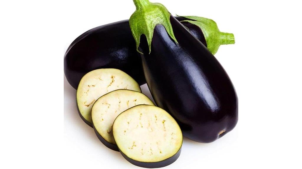 black beauty eggplant seeds