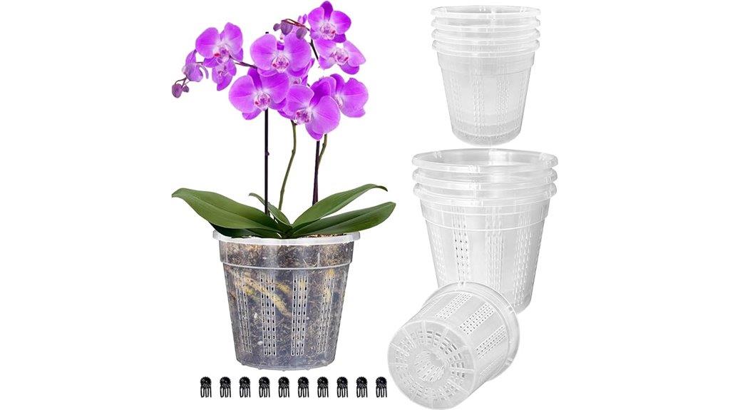 clear orchid pots set