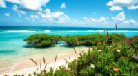 coastal protection for florida