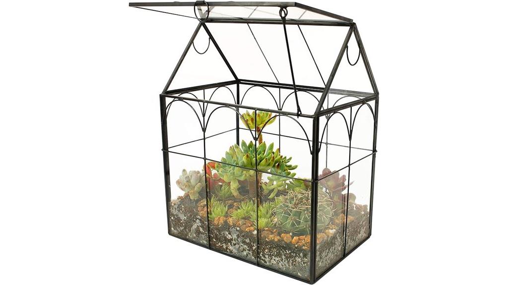 decorative glass plant terrarium