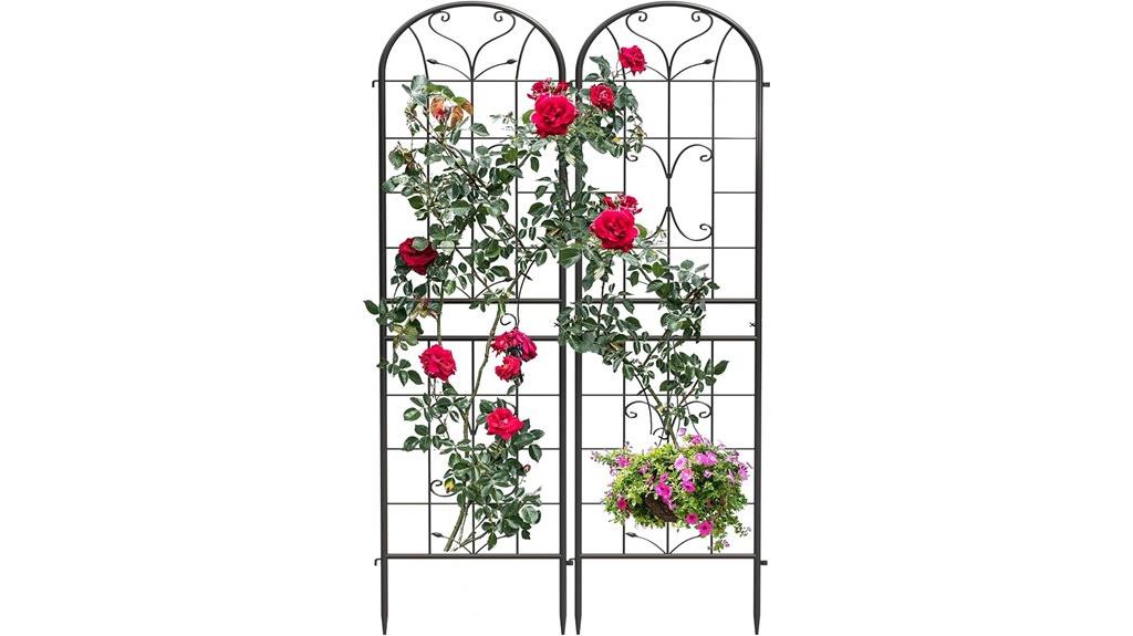 garden trellises for climbing