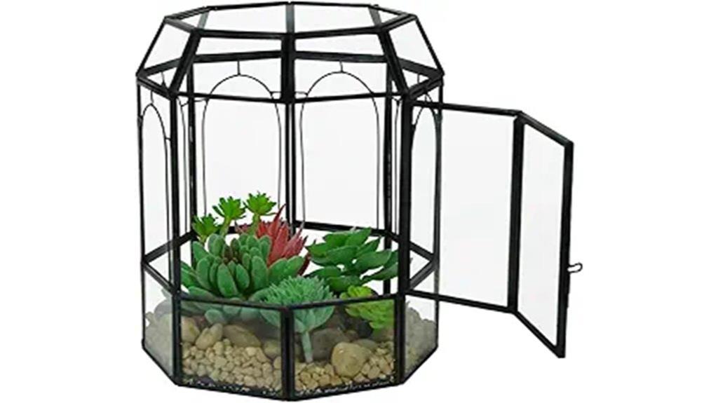 geometric glass plant terrarium