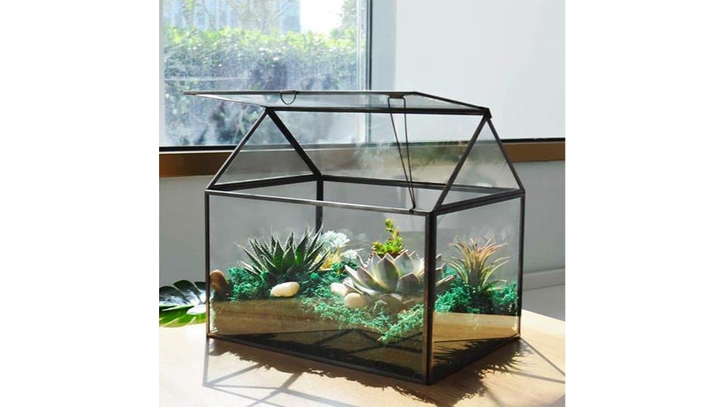 glass plant terrarium kit