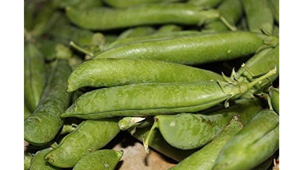 green peas cultivation poster