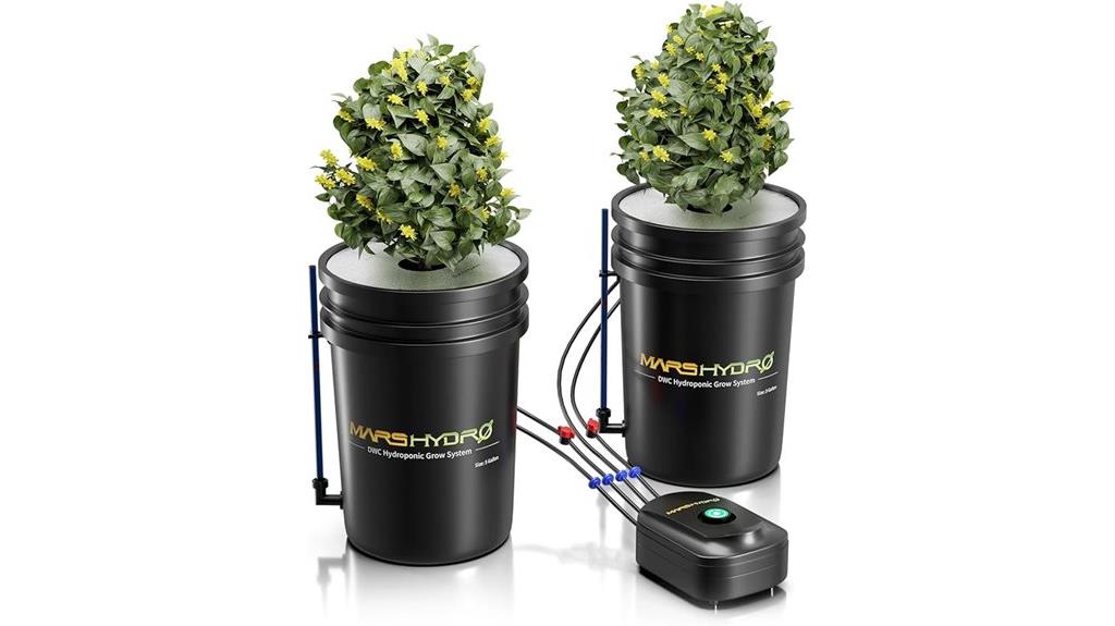 hydroponic grow system setup
