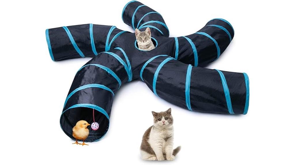 indoor cat tunnel playtime