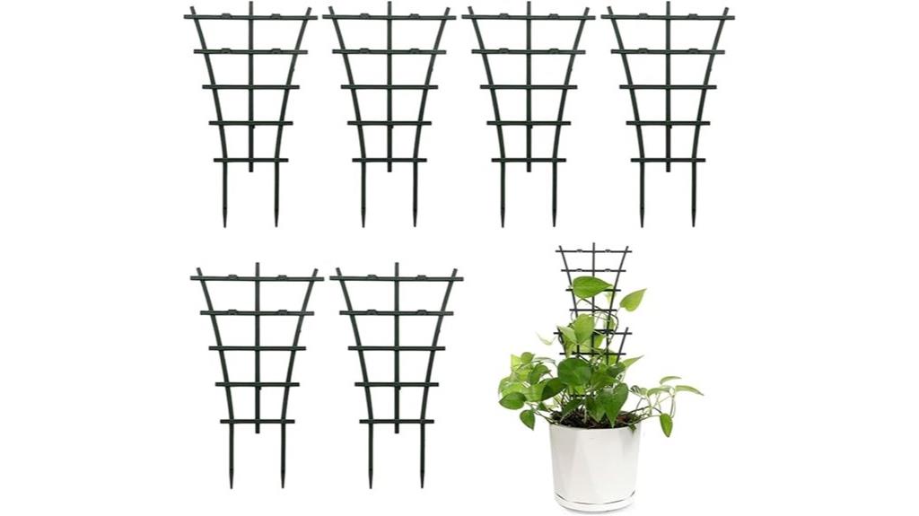 indoor climbing plant support