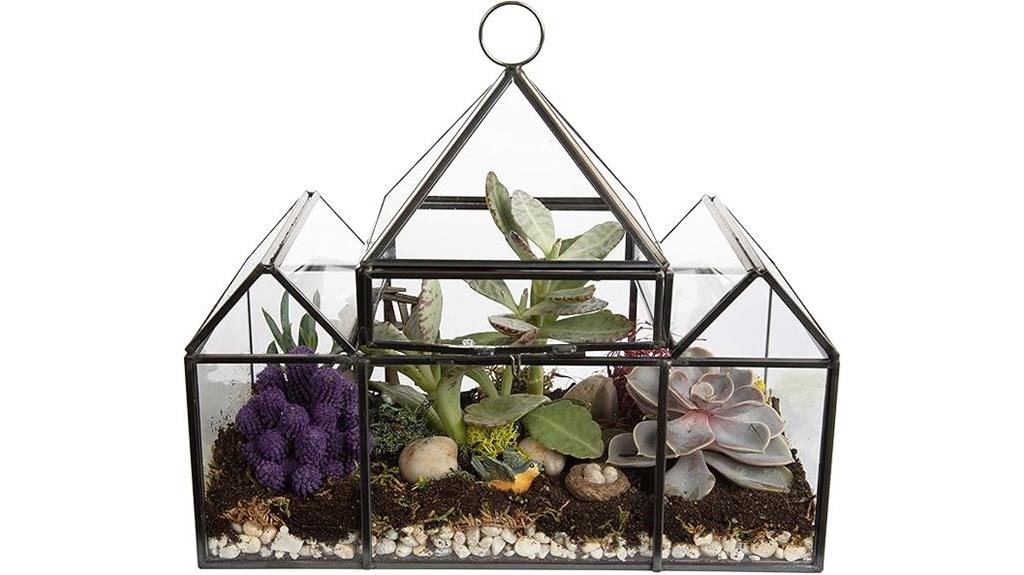 indoor glass plant terrarium