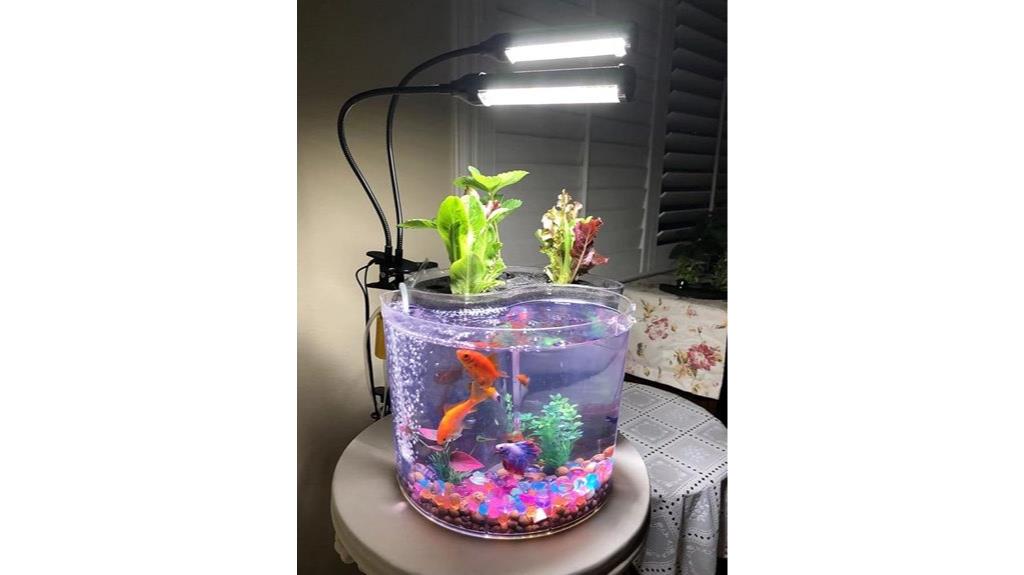 indoor hydroponic aquaponic system