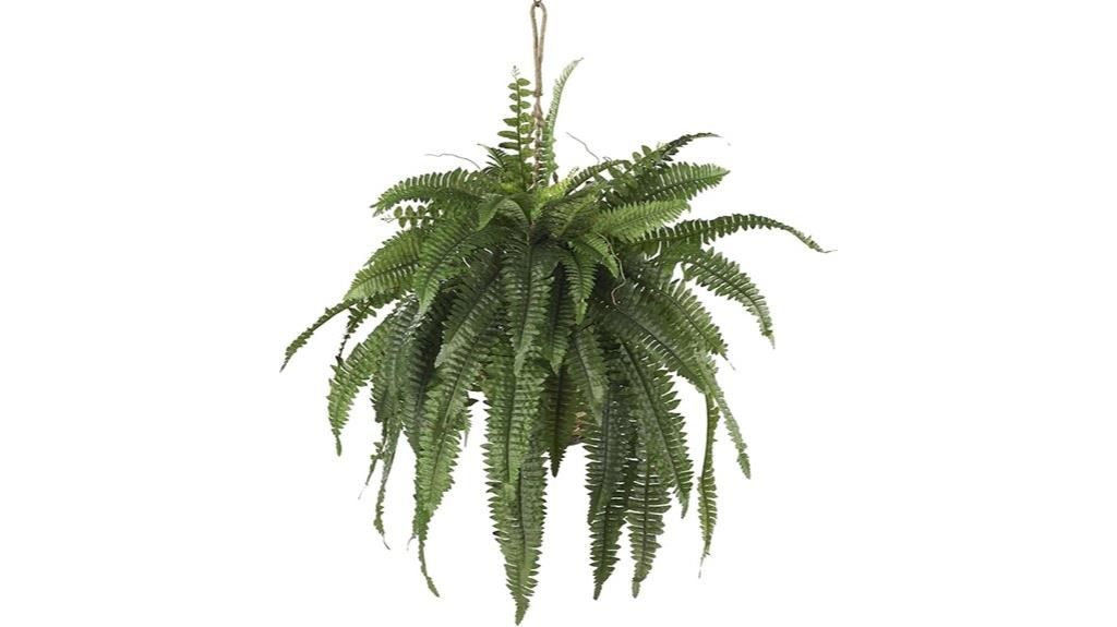 large green hanging fern