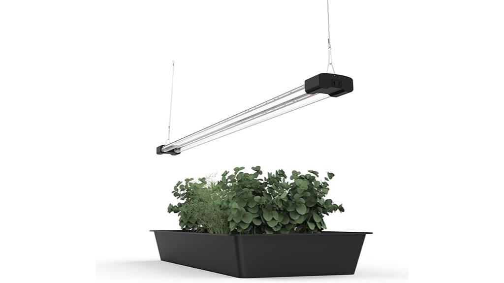 led grow light succulents