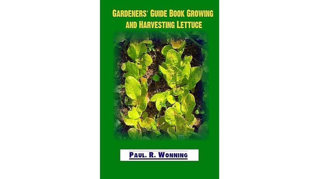 lettuce cultivation and harvesting