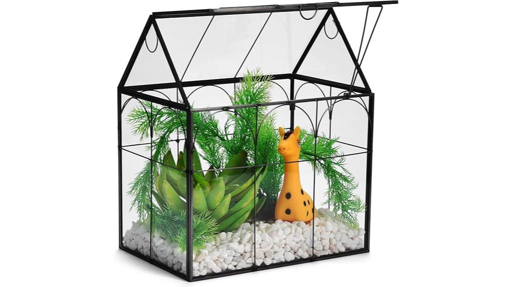 lid equipped glass terrarium