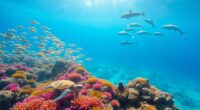 marine life tackling issues