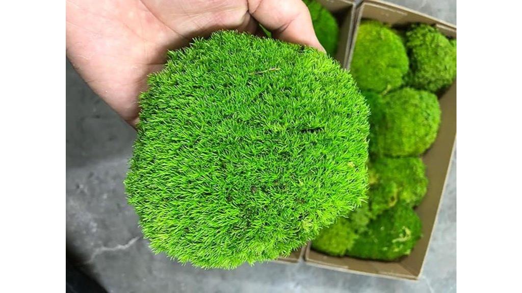 natural green decorative cushion