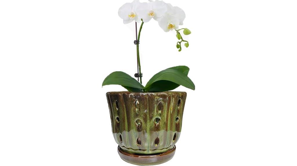 orchid pots with drainage