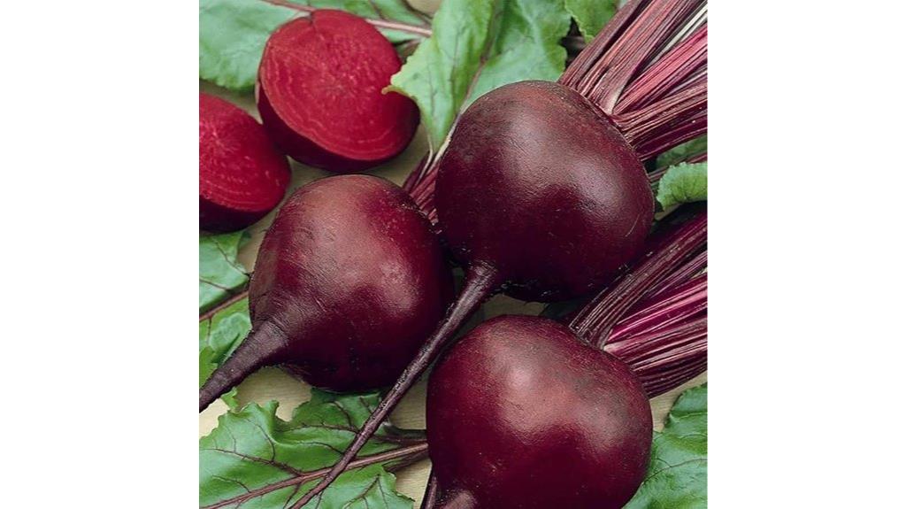 organic beet garden seeds