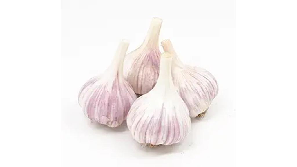 organic non gmo garlic bulbs