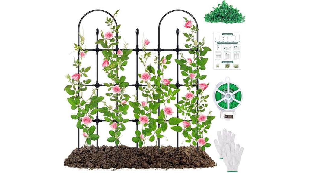 outdoor climbing plant trellis