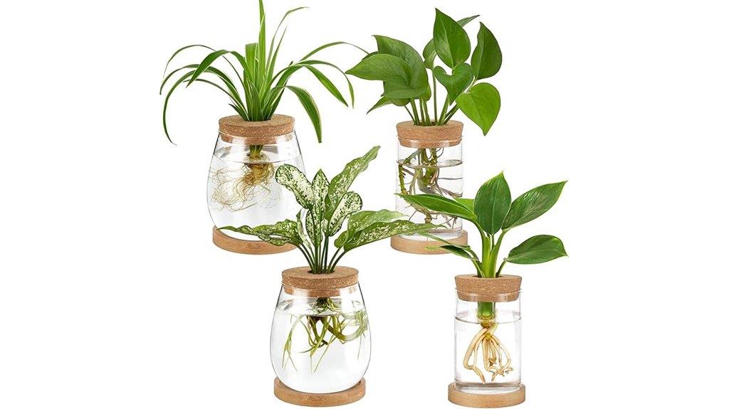plant propagation station set