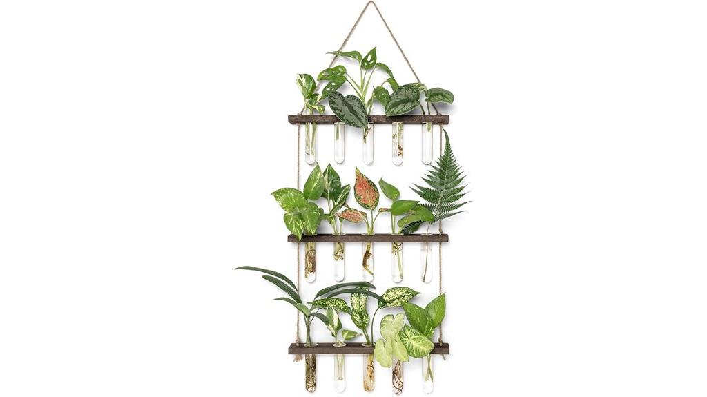 plant propagation with stand