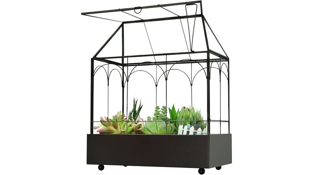 terrarium kit for plants