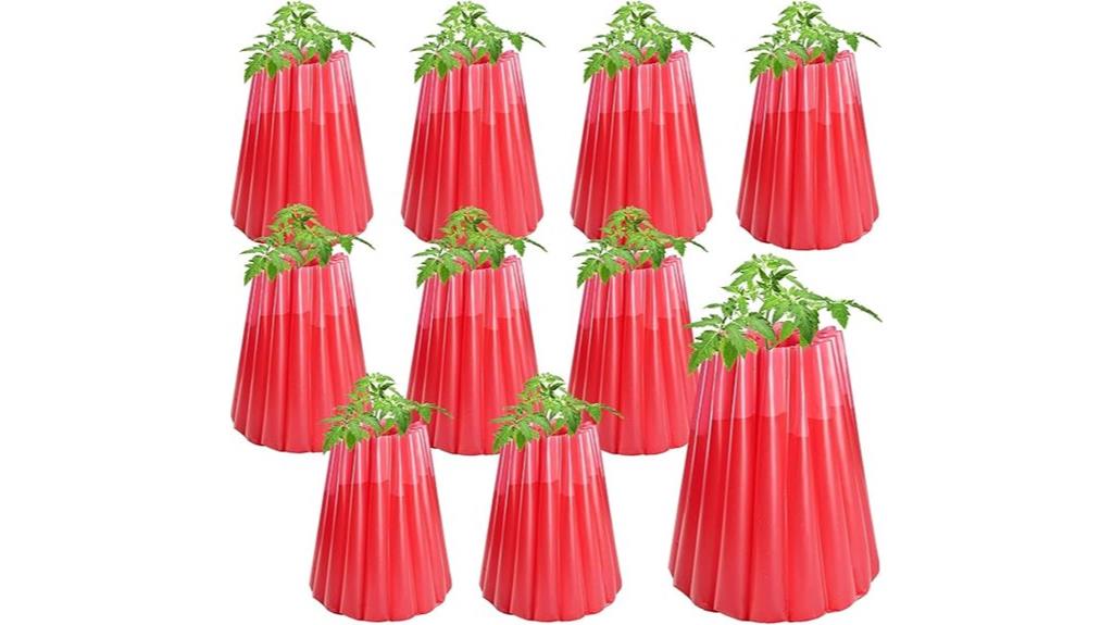 tomato plant water protectors