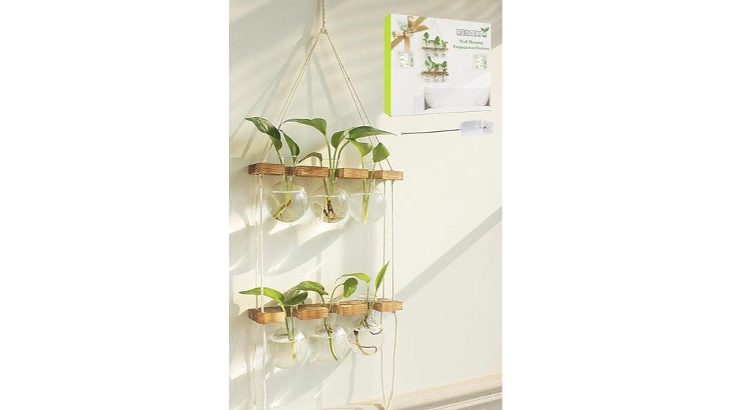 wooden plant propagation station