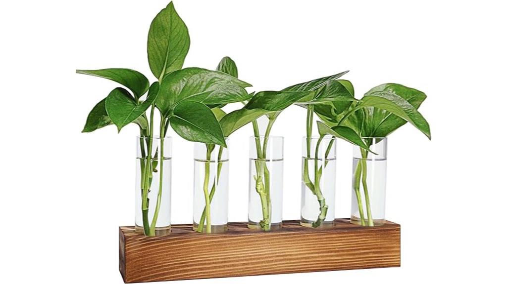 wooden stand with test tubes