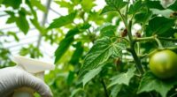 greenhouse pest control methods