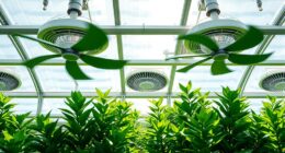 greenhouse airflow and cooling