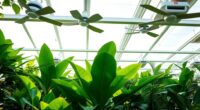 proper greenhouse airflow management