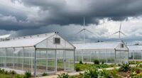 best wind resistant greenhouse kits