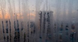 condensation indicates underlying issue