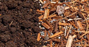 eco friendly seedling soil