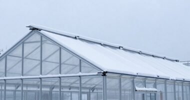 greenhouse snow load preparedness
