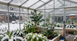 greenhouse snowstorm preparation checklist