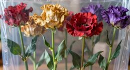 long stemmed cut flowers indoors