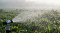 misting versus fogging differences
