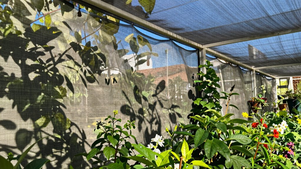 moderate light aesthetic protection