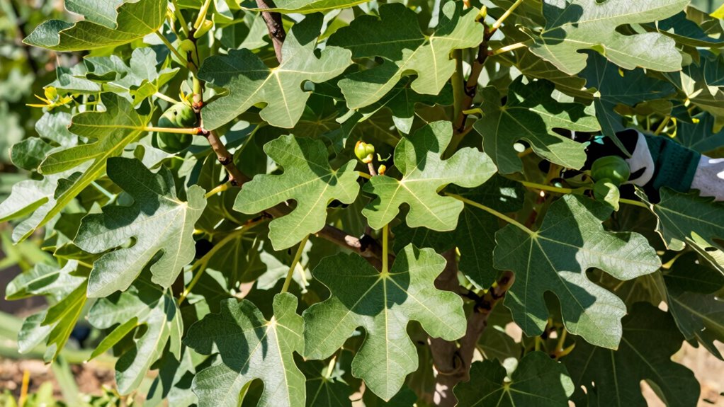 prune for healthy growth