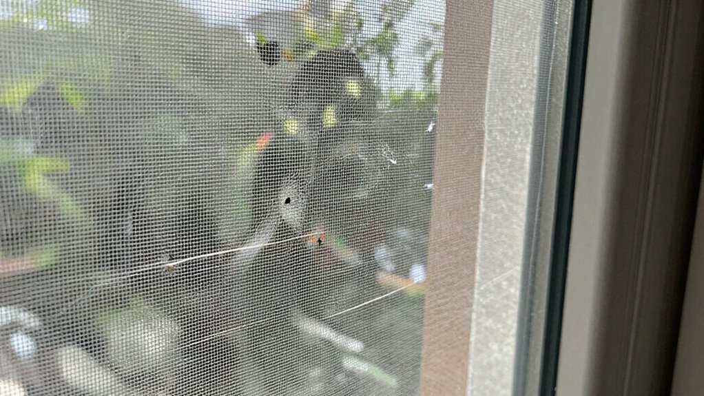 seal gaps to prevent bugs