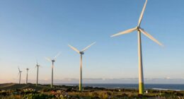 top 12 1000w wind turbines