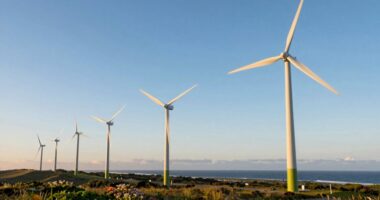 top 12 1000w wind turbines