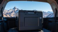 top 12v travel freezers