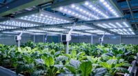 top 15 greenhouse grow lights